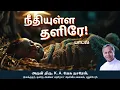 Lagu Needhiyulla Thalire (Official)  Deva Jeevan Ministries| Christmas Song | Fr.K.A.Jesu Nazarene.