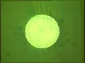 Matters - Hannah (2019) Static Caravan Records *Contains flashing images*