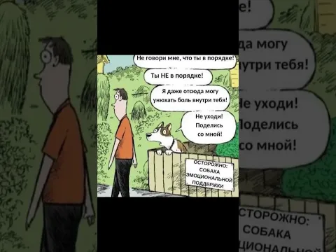 Собака эмоциональной поддержки