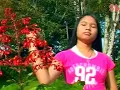 Download Lagu Dolis Trio - Boasa Dung Botari ( Official Music Video )