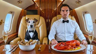 i tested the first ever airline made for dogs