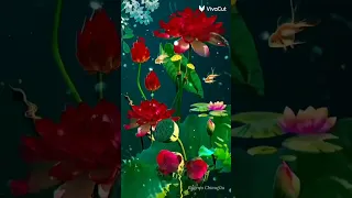 نغمه اغيب وذو الاطائف لا يغيب ل مشارى الراشد العفاسى دندنها