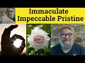 Immaculate Impeccable Pristine - Immaculate Impeccable Pristine Meaning and Examples