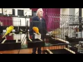 Yorkshire Canary club Melbourne annual show 2016