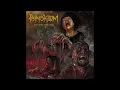 Download Lagu Painstorm - Fun and Violence (Full Album 2025)