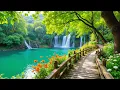 Download Lagu Muziek heelt de ziel 🌿 Stop met overdenken, stressverlichtende muziek, kalmerende muziek, slaapmuzi