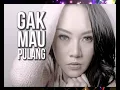 Iva Lola - Gak Mau Pulang Maunya Digoyang (Official Lyric Video)