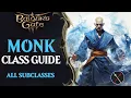 Baldur s Gate 3 Monk Guide - All Subclasses Way of Shadow Four Elements and Open Hand