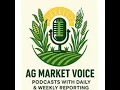 Crop Conditions Drop And so Does Flat Price of Grain--Defend What You Can