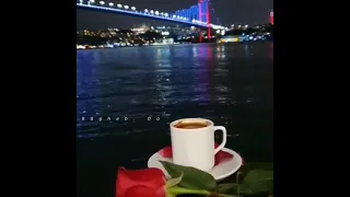 حالات حب وائل كفوري في قلب نحب معاه حياتنا حالات واتس اب 