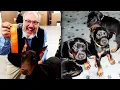Was Dog Breeder Murdered Over Doberman Puppies