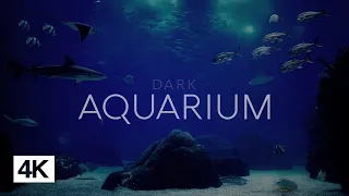 Relaxing Dark Aquarium Ambience in 4k - Underwater Soundscape - No Music