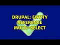 Drupal Entity reference multi-select 2 Solutions