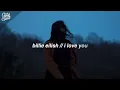 Billie Eilish - i love you (Lyrics)