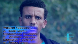 Kadir Martu Rakkachuuf Hin Uumamnee New Oromo Muisic 2016 OromoProtests 