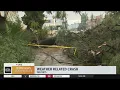 Toppled tree causes car to crash into apartment complex in Van Nuys