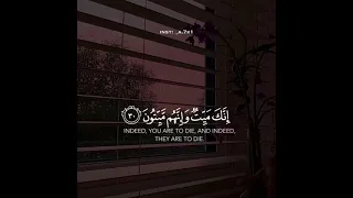 إنك ميت وإنهم ميتون ماهر المعيقلي سورة الزمر حالات واتس اب قصيره 