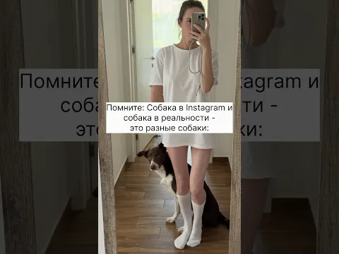 17 февраля 2026 г.