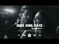 Sher khul Gaye|Slowed and reverb| Benny Dayal, Shilpa Rao, Vishal & Sheykhar | Fighter| Vibe Studio