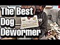 Vets don t want you to know Everything you need to know about deworming dogs