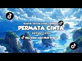 Download Lagu DJ PERMATA CINTA - Aiman Tino VIRAL TIK TOK TERBARU 2024 [ Felik Fvnky ]
