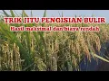 Download Lagu 3 CARA PENGISIAN BULIR LEBIH MAKSIMAL