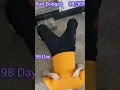 Download Lagu Glute Bridges Day 98 #glutebridges #shorts #challenge