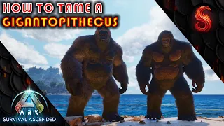 ARK SURVIVAL ASCENDED HOW TO TAME A GIGANTOPITHECUS