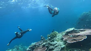 Cruising Malaysia, exploring cultures, snorkelling and rainforest on tropical Islands