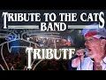 Download Lagu Tribute to the Cats Band (Our Tribute to the band with Kees Plat)