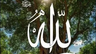 الله ربنا هو الإله   اخترنا لك نشيد روعة   أسماء الله الحسنى ارسلها الى من تحب دندنها
