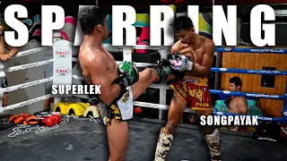 Superlek & Songpayak UNSEEN Sparring Before Their August Fights 🔥🥊