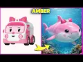 Lagu Robocar Poli-personages als haaien in het echt + Raad de stemquiz | Roy, Amber, Poli, Helly