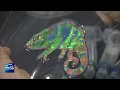 TECHNOLOGY TO CREATE STRUCTURAL COLOR News Today l KBS WORLD TV 211220