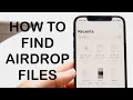 How To Find AirDrop Files On iPhone 2024