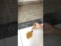 Put cinnamon on your front door and you won t believe the results