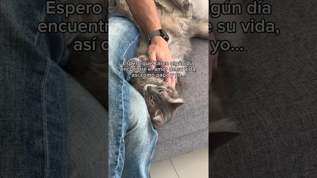Pobre de mi Karen 😼