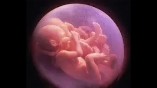 Primeira e Segunda Semanas de Desenvolvimento Humano, Placentação e Gemelidade (Medicina - UNESP)