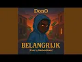 Download Lagu Belangrijk
