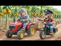 Lagu 🔥🐒🍈 Monkey NaNa Harvests Papayas and Catches a Sneaky Thief Stealing His Tractor! 😱🚜💥