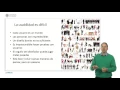 Data Processing and User Interface Usability UPV
