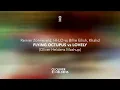 Reinier Zonneveld, HI-LO vs Billie Eilish, Khalid - Flying Octopus vs Lovely (Oliver Heldens Mashup)