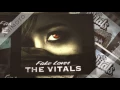 The Vitals-Fake Lover