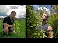 I Turned This Grass Into A Forest In 2 Years