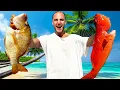 Download Lagu 2 Days Catching Giant Fish For My Family