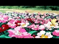 TYLER, THE CREATOR - NOVEMBER (slowed + reverb)