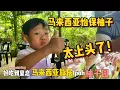 Download Lagu 千万不要轻易尝试马来西亚怡保的柚子！吃一口直接“上头”？上海妈妈狂推的怡保蜜柚，一口惊艳全家！」🍈✨ IPOH YUZU Paradise! Must-Eat Fruit in Malaysia