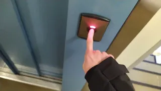                                                                                                     دندنها