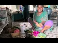 Download Lagu MASAK IWAK RAKSASA HASIL TANGKAPAN ARIPIN😱😋🤤