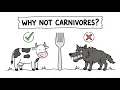 why do we only eat herbivorous animals and not carnivorous